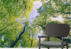 Outdoor Wall Murals Wallpaper Sun Breaking Treetops forest Square Wall Murals