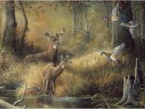 Outdoor Wildlife Wall Murals 44 ] Wallpaper Murals Winter Scenes On Wallpapersafari