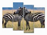 Outdoor Wildlife Wall Murals Amazon 4 Panels Canvas Painting Wall Art Animal Zebra