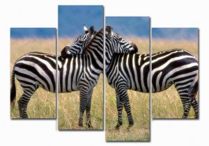 Outdoor Wildlife Wall Murals Amazon 4 Panels Canvas Painting Wall Art Animal Zebra