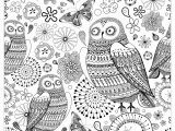 Owl Color Pages for Adults Owls Owls Adult Coloring Pages