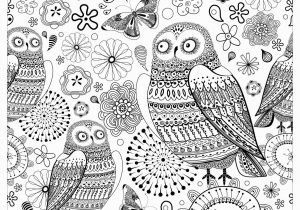 Owl Color Pages for Adults Owls Owls Adult Coloring Pages