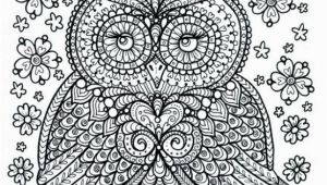 Owl Color Pages for Adults Pin by Rachel Burgener On Coloring Collections