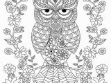 Owl Coloring Pages for Adults to Print 22 Free Owl Coloring Pages for Adults