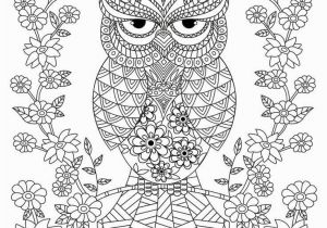 Owl Coloring Pages for Adults to Print 22 Free Owl Coloring Pages for Adults