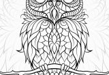Owl Coloring Pages for Adults to Print Diceowl Free Printable Adult Coloring Pages