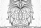 Owl Coloring Pages for Adults to Print Diceowl Free Printable Adult Coloring Pages