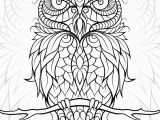 Owl Coloring Pages for Adults to Print Diceowl Free Printable Adult Coloring Pages