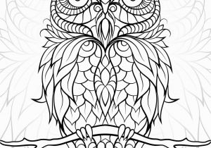 Owl Coloring Pages for Adults to Print Diceowl Free Printable Adult Coloring Pages