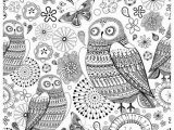 Owl Coloring Pages for Adults to Print Printable Owl Coloring Pages Best Free Owl Coloring Pages