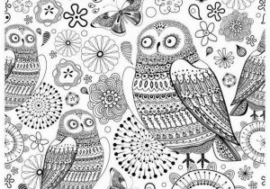 Owl Coloring Pages for Adults to Print Printable Owl Coloring Pages Best Free Owl Coloring Pages