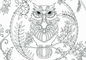 Owl Coloring Pages to Print for Adults Adult Coloring Pages Owl Download