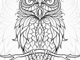 Owl Coloring Pages to Print for Adults Free Printable Owl Coloring Pages for Adults Gallery