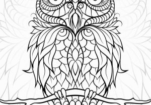 Owl Coloring Pages to Print for Adults Free Printable Owl Coloring Pages for Adults Gallery