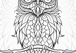 Owl Coloring Pages to Print for Adults Free Printable Owl Coloring Pages for Adults Gallery