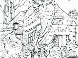 Owl Coloring Pages to Print for Adults Great Horned Owl Colouring Page Owls Coloring Pages to Her with