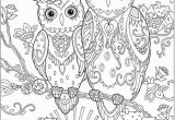 Owl Coloring Pages to Print for Adults Printable Coloring Pages for Adults 15 Free Designs