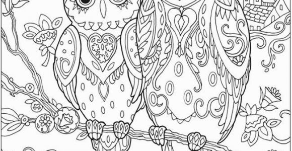 Owl Coloring Pages to Print for Adults Printable Coloring Pages for Adults 15 Free Designs