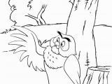 Owl From Winnie the Pooh Coloring Pages Owl Winnie the Pooh Coloring Page Of Disney Mitraland