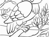 Owl In A Tree Coloring Page Coloring Pages Birds Cute Owl Sits the Tree Royalty Free