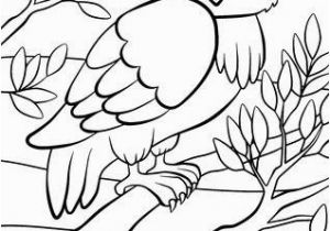 Owl In A Tree Coloring Page Coloring Pages Birds Cute Owl Sits the Tree Royalty Free