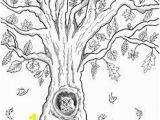 Owl In A Tree Coloring Page Free Printable Autumn Owl Tree Coloring Page In 2018