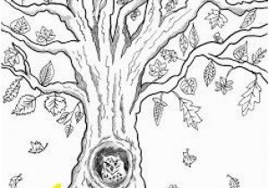 Owl In A Tree Coloring Page Free Printable Autumn Owl Tree Coloring Page In 2018