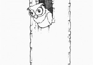 Owl In A Tree Coloring Page Owl In Tree Coloring Page Free Owl Coloring Pages