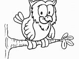 Owl In A Tree Coloring Page Owl On A Tree Coloring Page