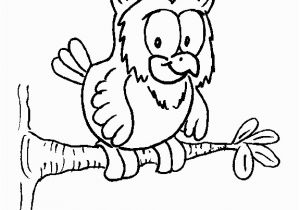 Owl In A Tree Coloring Page Owl On A Tree Coloring Page