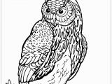 Owl In A Tree Coloring Page Owl On Tree Branch Owls Adult Coloring Pages