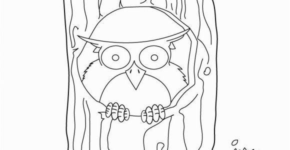 Owl In A Tree Coloring Page Owl Sitting On the Tree Coloring Pages Hellokids