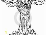 Owl In A Tree Coloring Page Owl Tree Fir Coloring Page Cartoon Illustration