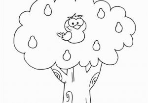 Owl In A Tree Coloring Page the Owl is In the Tree Coloring Page Twisty Noodle