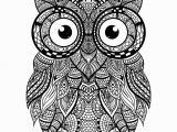 Owl Mandala Coloring Pages for Adults Hey Everyone Check Out This Awesome Intricate Owl for