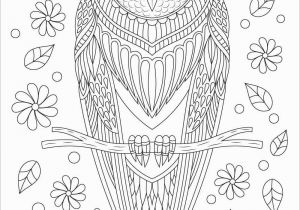 Owl Mandala Coloring Pages for Adults Owl Coloring Pages Coloringbay