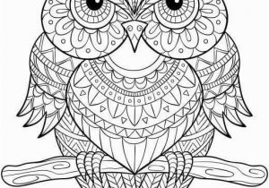 Owl Mandala Coloring Pages for Adults Owl Mandala Coloring Page