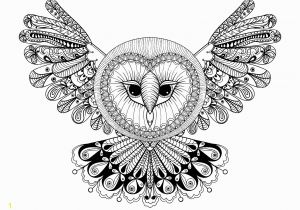 Owl Mandala Coloring Pages for Adults Owl with Big Head