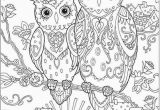 Owl Printable Coloring Pages Owls to Print Coloring Page An Owl Printable Coloring