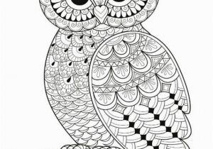 Owl Printable Coloring Pages Owls to Print Coloring Page An Owl Printable Coloring