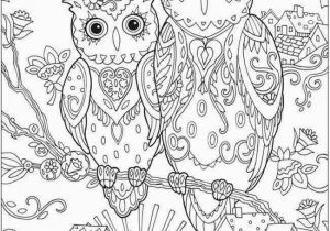 Owl Printable Coloring Pages Owls to Print Coloring Page An Owl Printable Coloring