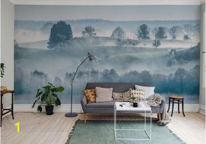 Paint for Mural On Bedroom Wall Morning Haze Wallpaper