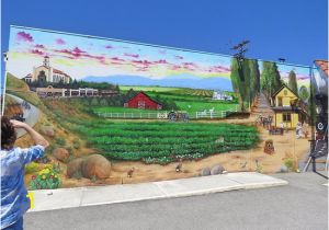 Painted Outdoor Wall Murals Mural Painted On Museum Outside Wall Picture Of Pleasant