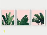 Painted Tropical Wall Murals Banana Leaf Print Banana Leaves Tropical Wall Art Scandi