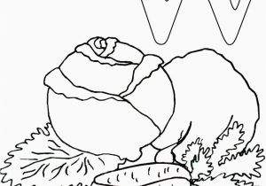 Pakistan Flag Coloring Page Get Coloring Pages Lovely 243 Best Care Bears Coloring Sheets