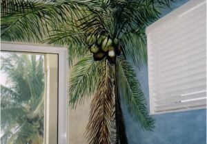 Palm Tree Beach Wall Mural Palm Tree Mural Artwork by Louise Moorman