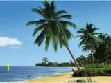 Palm Tree Beach Wall Mural Palm Tree Wallpaper Mural 4074