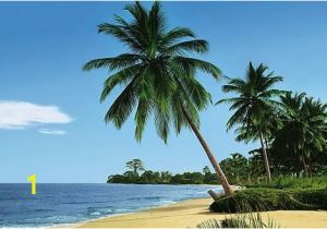 Palm Tree Beach Wall Mural Palm Tree Wallpaper Mural 4074