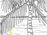 Palm Tree Coloring Page 562 Best Beach Coloring Pages Images