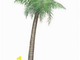 Palm Tree Mural Decal H3 Palm Tree Wall Decal Sticker 42 In X 90 In H3